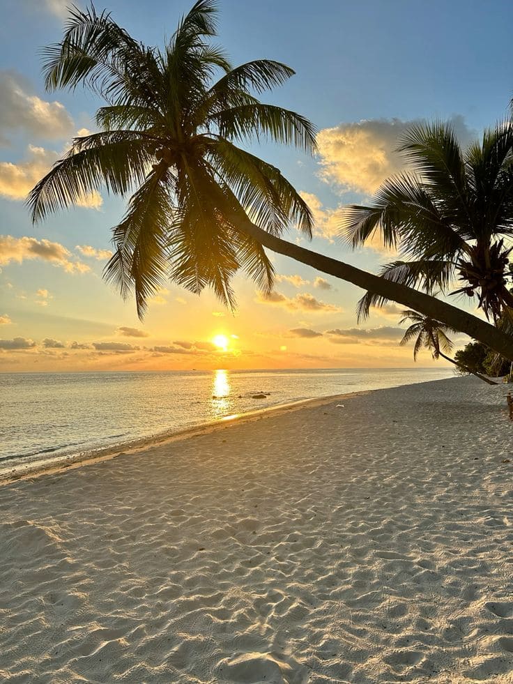 Đi Biển Nên Mặc Đồ Màu Gì Để Vừa Xinh Vừa Nổi Bật ?