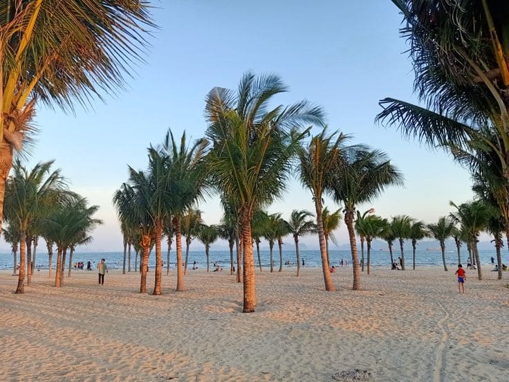 Bãi Cháy – Viên ngọc của vịnh Hạ Long