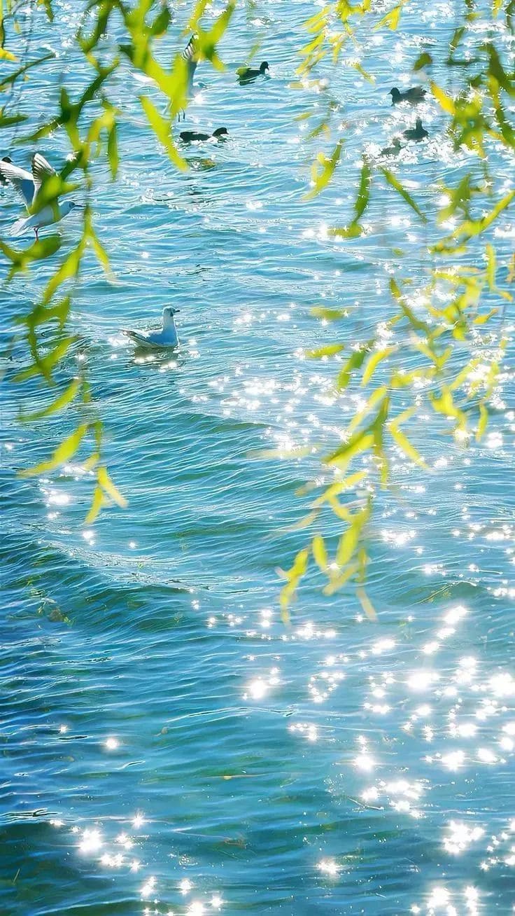 Vì sao nên đi biển gần Hà Nội