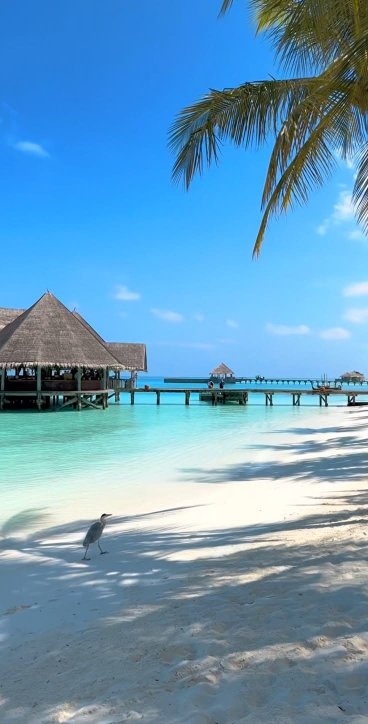 Địa điểm chụp ảnh đi biển đẹp tại Việt Nam